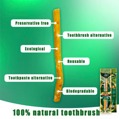 Close-up of natural Miswak fibers for traditional brushing