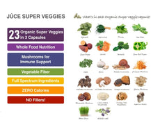 Process image showing freeze-drying of fruits and vegetables