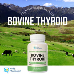 Freeze-dried glandular bovine thyroid material