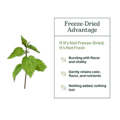Freeze-dried nettle leaf powder processing and packaging.