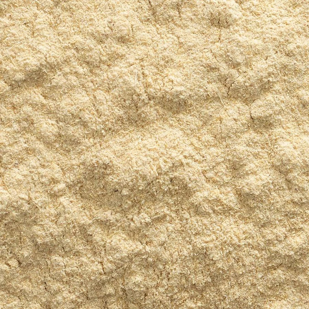 Ground astragalus root powder close-up