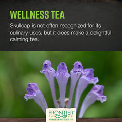 Skullcap herb for tea, tincture and DIY infusion