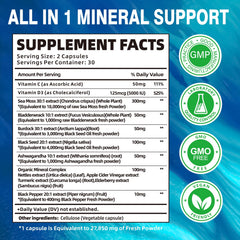 Energy-boosting sea moss capsules with black seed oil and ashwagandha