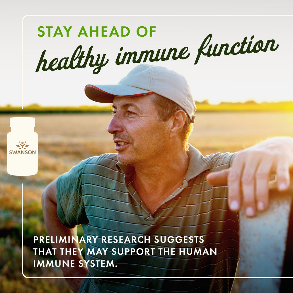 Fucoidan extract immune support ingredients graphic