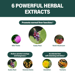 Fuenvegtal Hovenia Dulcis Reishi texture highlights premium adaptogens.