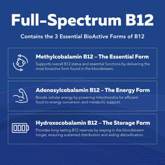 Full-spectrum B12 complex illustration