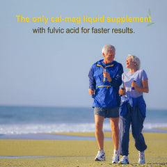 Graphic illustrating fulvic minerals and trace minerals