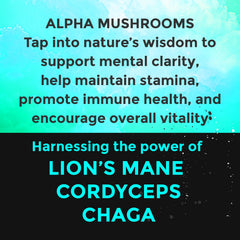 Functional mushroom blend with adaptogens to support cognition