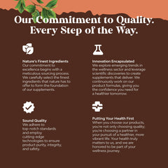 Assorted functional mushrooms Maitake, Shiitake, Chaga and Reishi