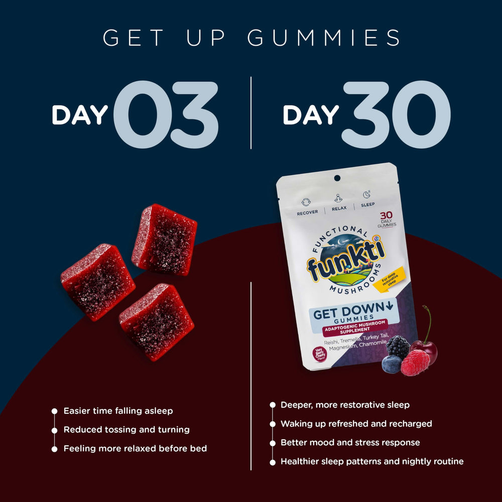 Ingredients highlight: Reishi, Tremella, and Turkey Tail mushrooms