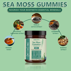 30 gummies per jar of FW ZONE Sea Moss Gummies