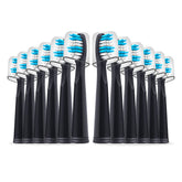 12-pack black Fairywill-compatible replacement toothbrush heads in sanitary packaging with dust cover