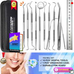 Portable dental hygiene kit with case for travel