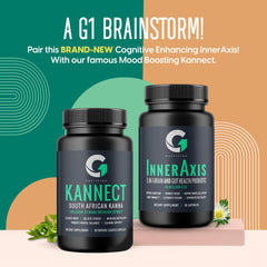 Illustration of brain-gut connection and mood support