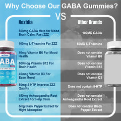 GABA Gummies 1 pack blueberry flavor packaging