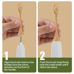Close-up of boar bristles on Gaia Guy bamboo toothbrush head