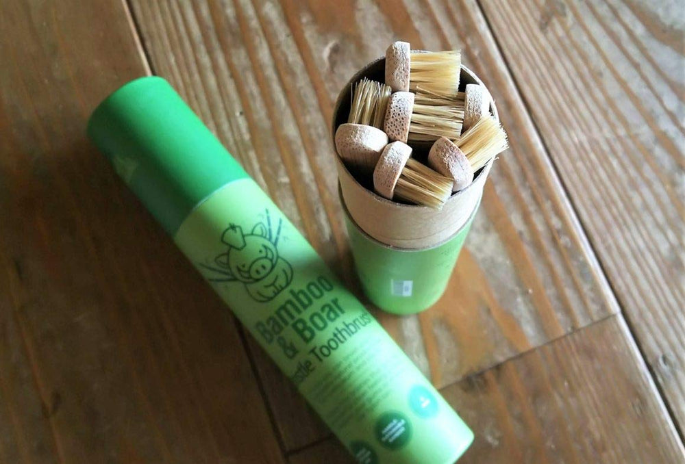 Six toothbrushes in a paperboard tube packaging