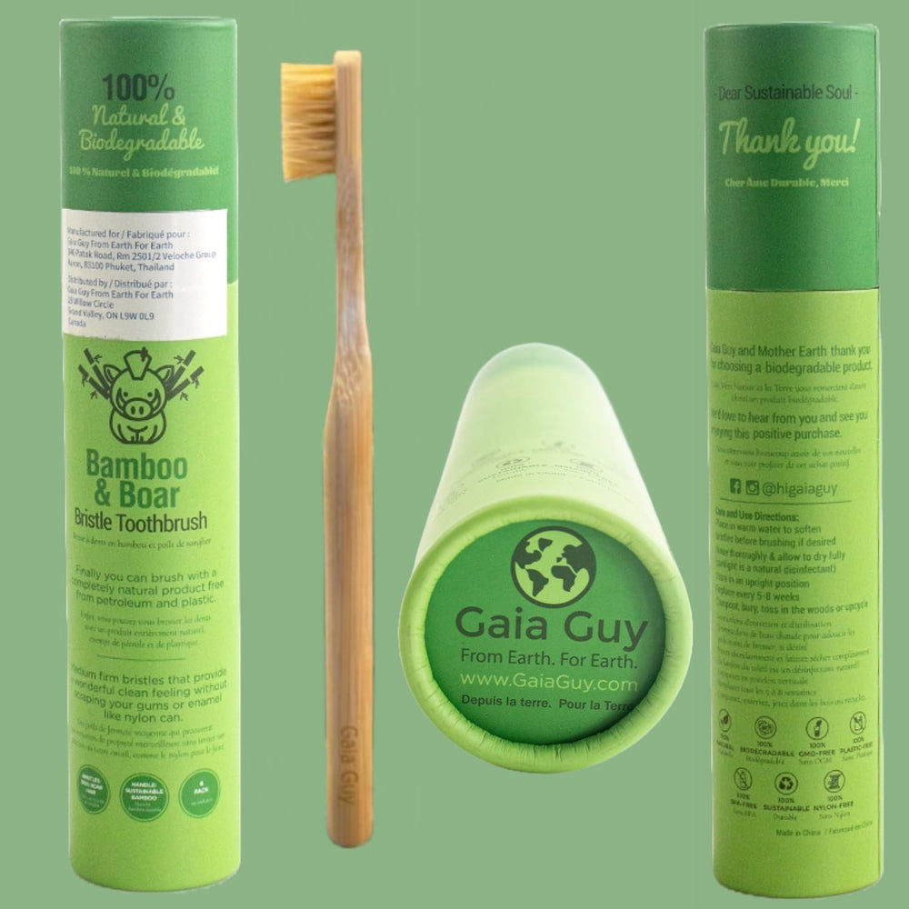 Bristles and handle without nylon