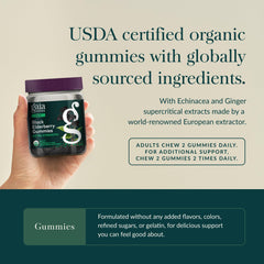 Organic elderberries illustration with Gaia Herbs branding