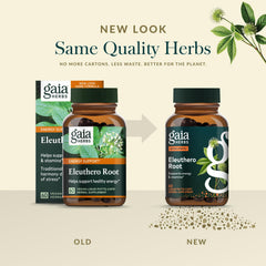 Adaptogen graphic highlighting Eleuthero root