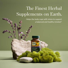 Close-up of label featuring St. John’s Wort, passionflower, vervain, and oats