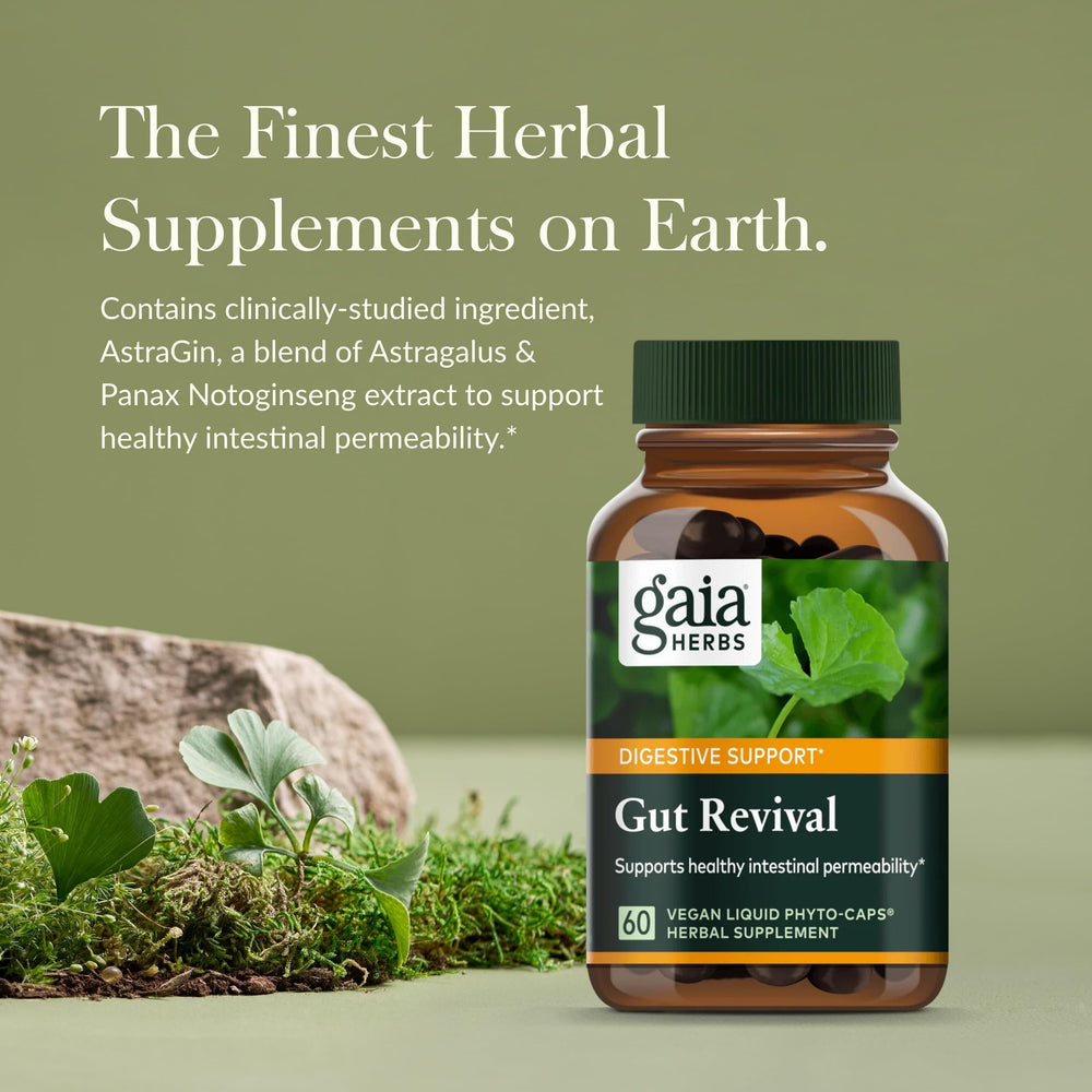 Gut Revival capsules displayed in bottle