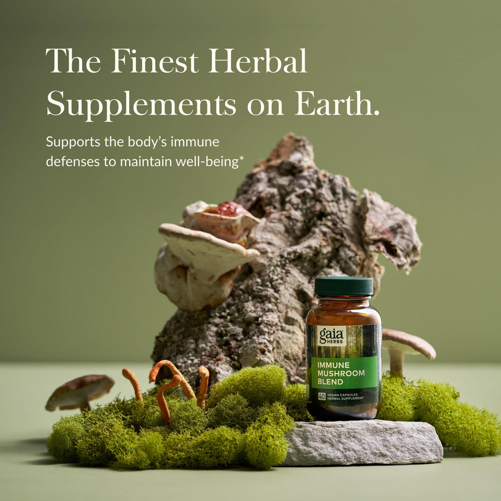 Close-up of Reishi mushroom in Gaia Immune Mushroom Blend