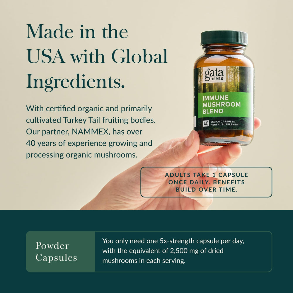 Close-up of Turkey Tail mushroom in Gaia Immune Mushroom Blend