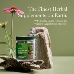 Gaia Herbs Immune Rapid Defense Gummies bottle