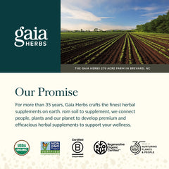 Packaging and ingredients panel of Gaia Herbs Lion's Mane