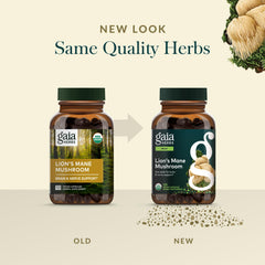 Brain and nerve health concept with Gaia Herbs Lion's Mane