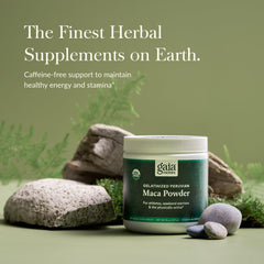 Close-up of organic maca powder in scoop