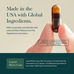 Oregano extract in Gaia Herbs Microbiome Cleanse helps balance flora.