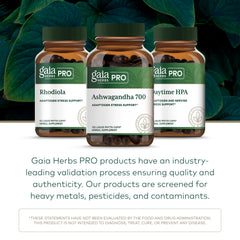 Gaiai Farms regenerative organic land in North Carolina