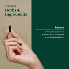 Organic bacopa aerial parts extract reference image