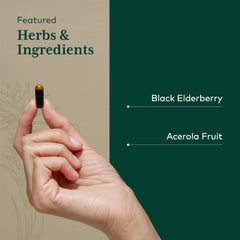 Serving size of Gaia Herbs PRO Black Elderberry PRO capsules
