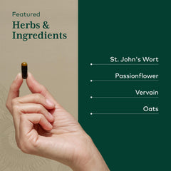 Schisandra, gotu kola, ginkgo, and rosemary in the formula