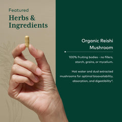 Sustainably sourced Reishi mushrooms used in Gaia Herbs PRO