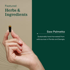 Sunflower seed lecithin and herbal ingredients illustration