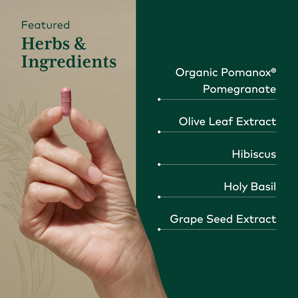 Grape seed and holy basil components featured