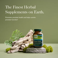 Close-up of hand-harvested saw palmetto berries used in Prostate Health