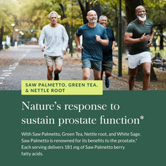 White sage leaves used in Gaia Herbs Prostate Health