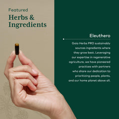 Quality testing and potency certification imagery