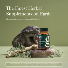 Gaia Herbs Resveratrol 150 bottle – back label