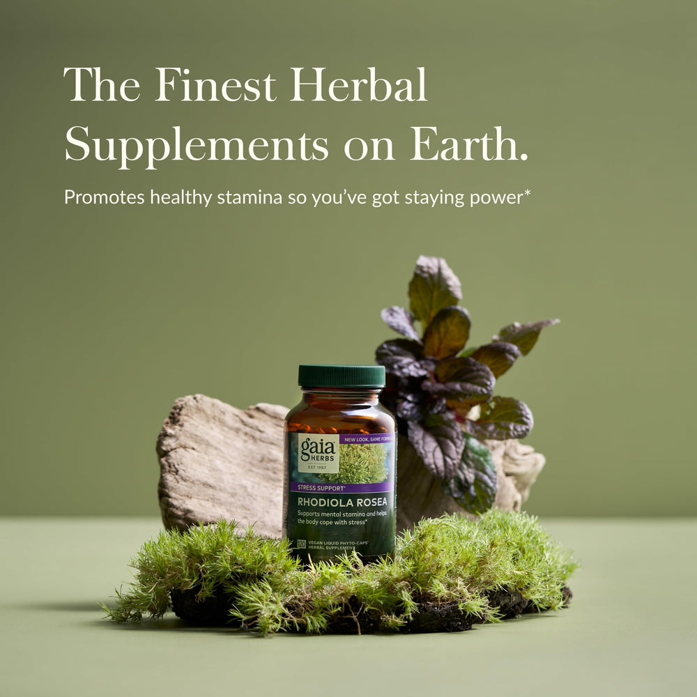 Siberian rhodiola root extract used in Gaia Herbs formula