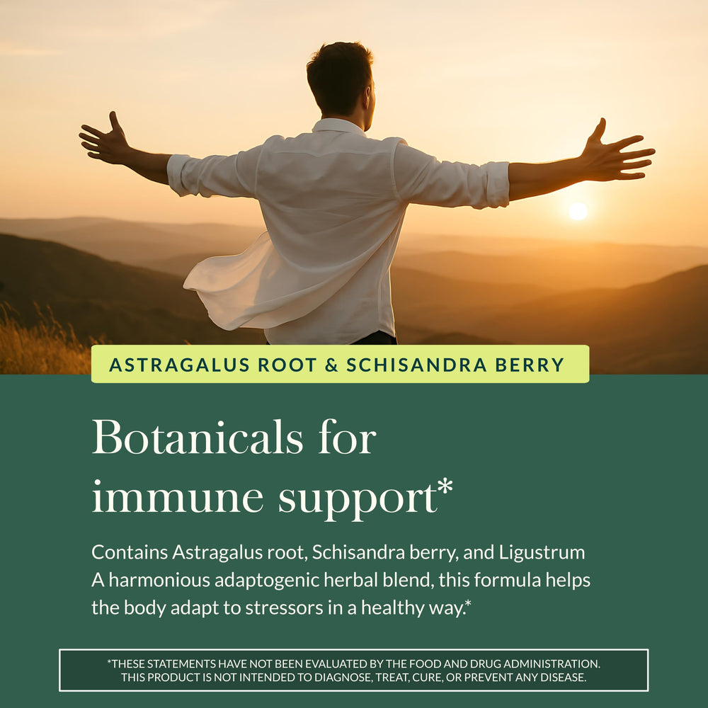 Gaia Herbs schisandra berry ingredient image illustrating antioxidant-rich berry inclusion benefit