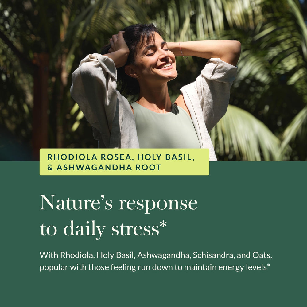 Herbal adaptogens for relaxation and cognitive support