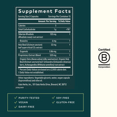 Close-up of Rhodiola, ashwagandha, holy basil and other adaptogens