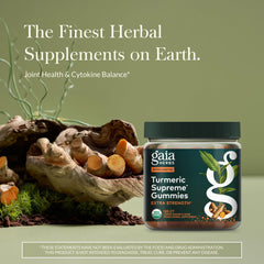 Gaia Herbs close-up of gummy texture highlighting soft chewability
