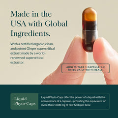 Gaia Herbs turmeric root detail showing vibrant color and complementary botanical benefit